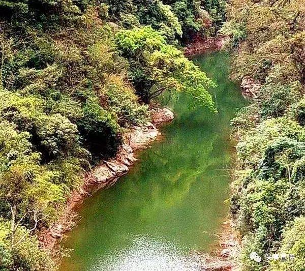 拯救红松鼠